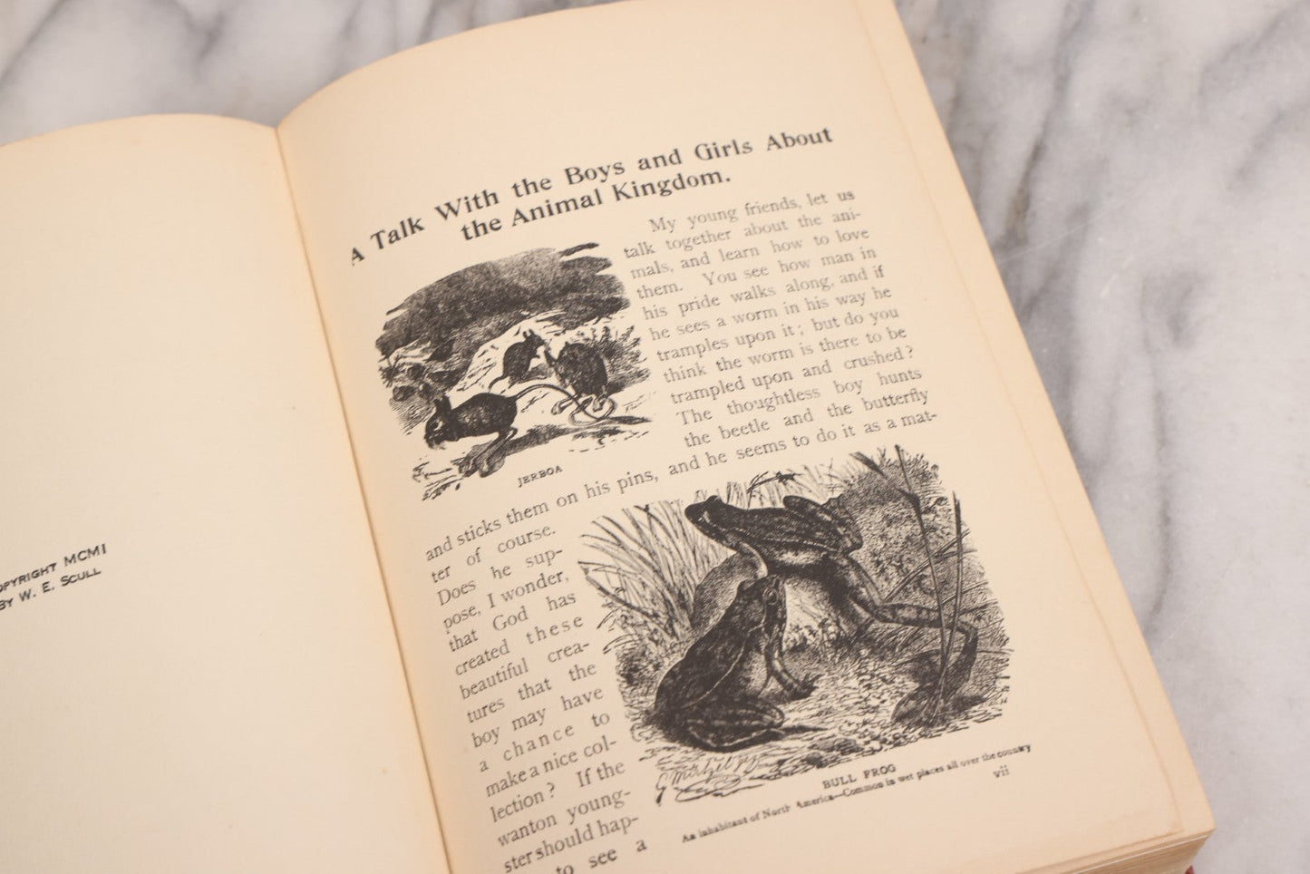 Lot 105 - "Stories About Animals For Boys And Girls, The Child's History Of Animals, A Natural History For The Young" Antique Book By Frederick Lonnkvist, Illustrated With Plates And Engravings, Copyright 1901 By W.E. Scull