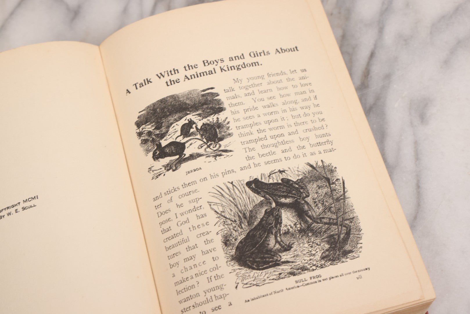 Lot 105 - "Stories About Animals For Boys And Girls, The Child's History Of Animals, A Natural History For The Young" Antique Book By Frederick Lonnkvist, Illustrated With Plates And Engravings, Copyright 1901 By W.E. Scull