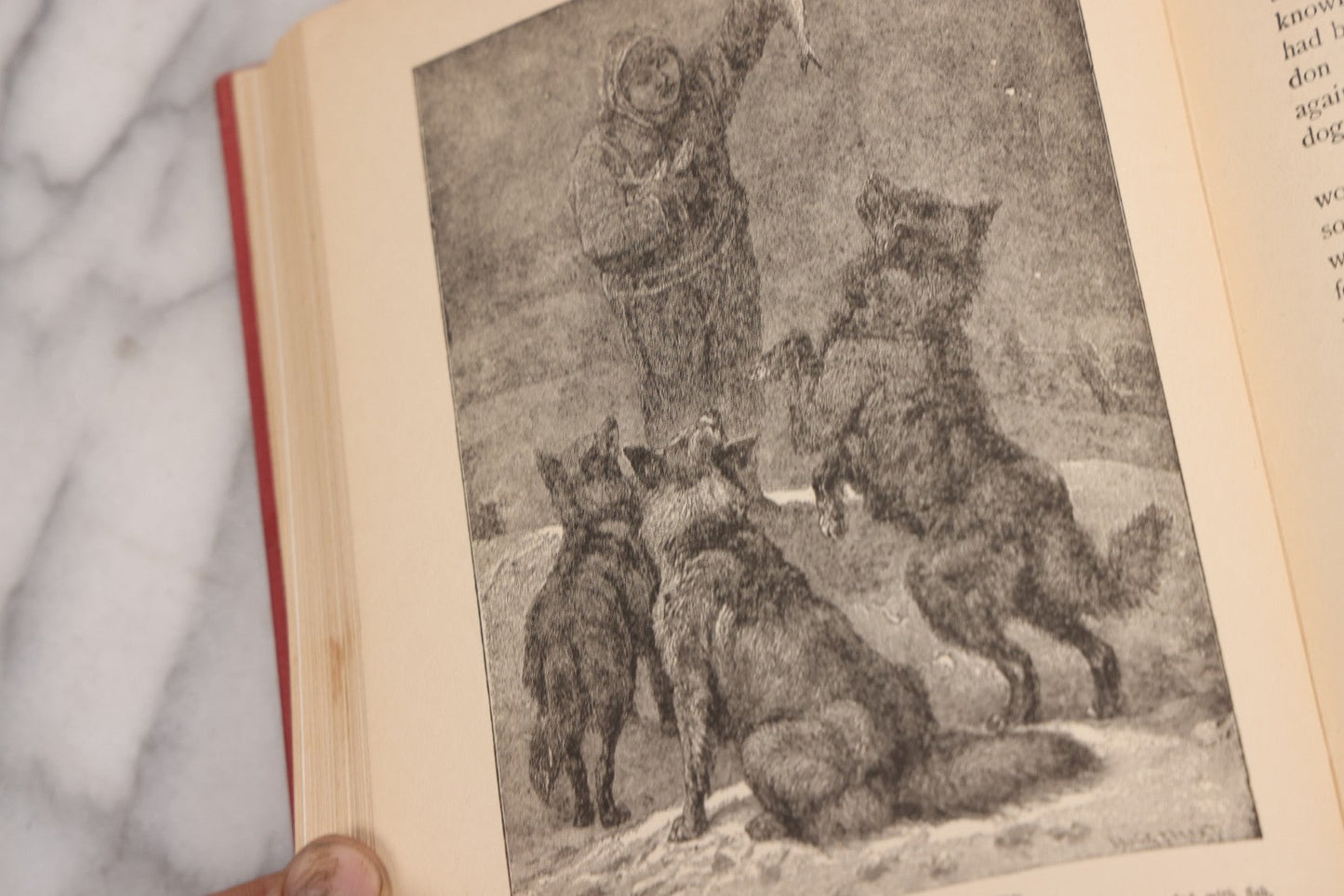 Lot 105 - "Stories About Animals For Boys And Girls, The Child's History Of Animals, A Natural History For The Young" Antique Book By Frederick Lonnkvist, Illustrated With Plates And Engravings, Copyright 1901 By W.E. Scull