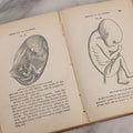 Lot 106 - "The Ladies Medical Guide" Antique Book By S. Pancoast, M.D., Illustrated With Over 100 Engravings, John E. Potter And Company, Publishers, Philadelphia, 1875