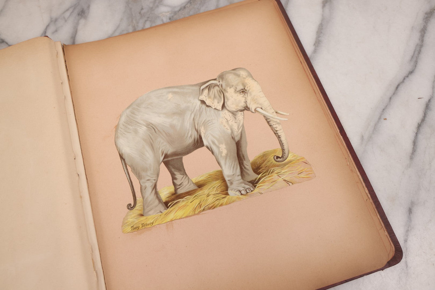 Lot 115 - Antique Victorian Scrapbook Album With Children, Flowers, Foliage On Cover Containing 50+ Pieces Including Trade Cards, Die Cuts, Calling Cards, And Other Scraps