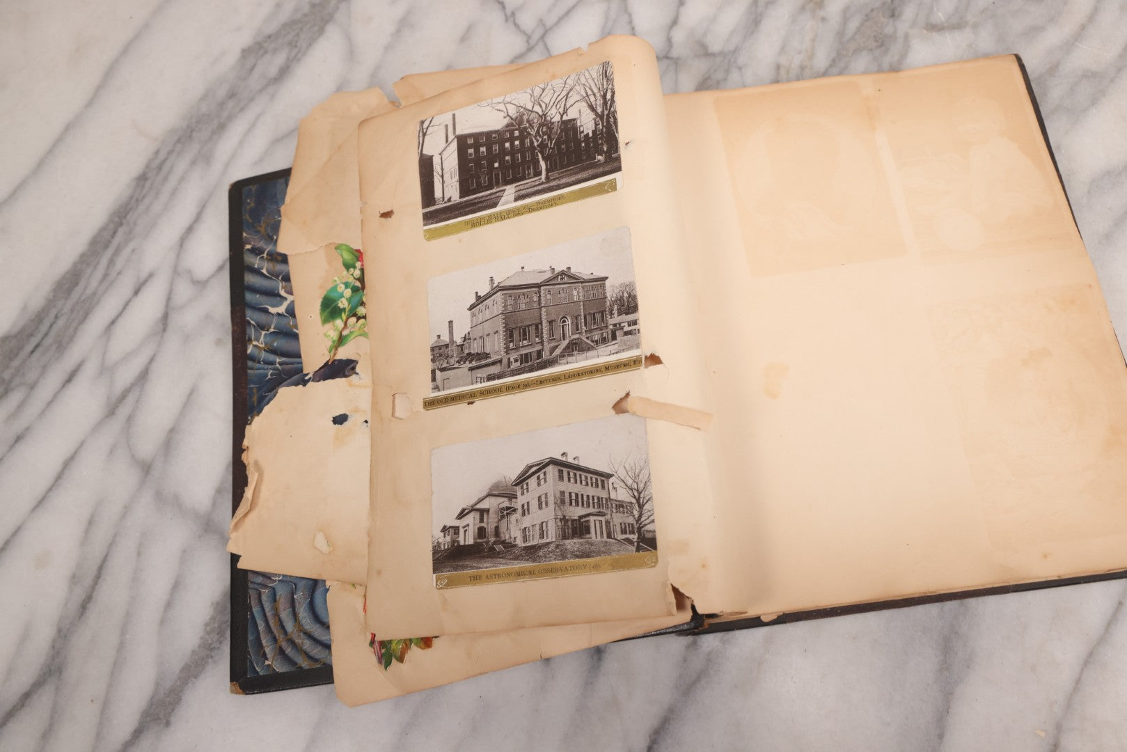 Lot 117 - Antique Victorian Scrapbook "Card Album" Containing 50+ Pieces Including Trade Cards, Die Cuts, Calling Cards, And Other Scraps