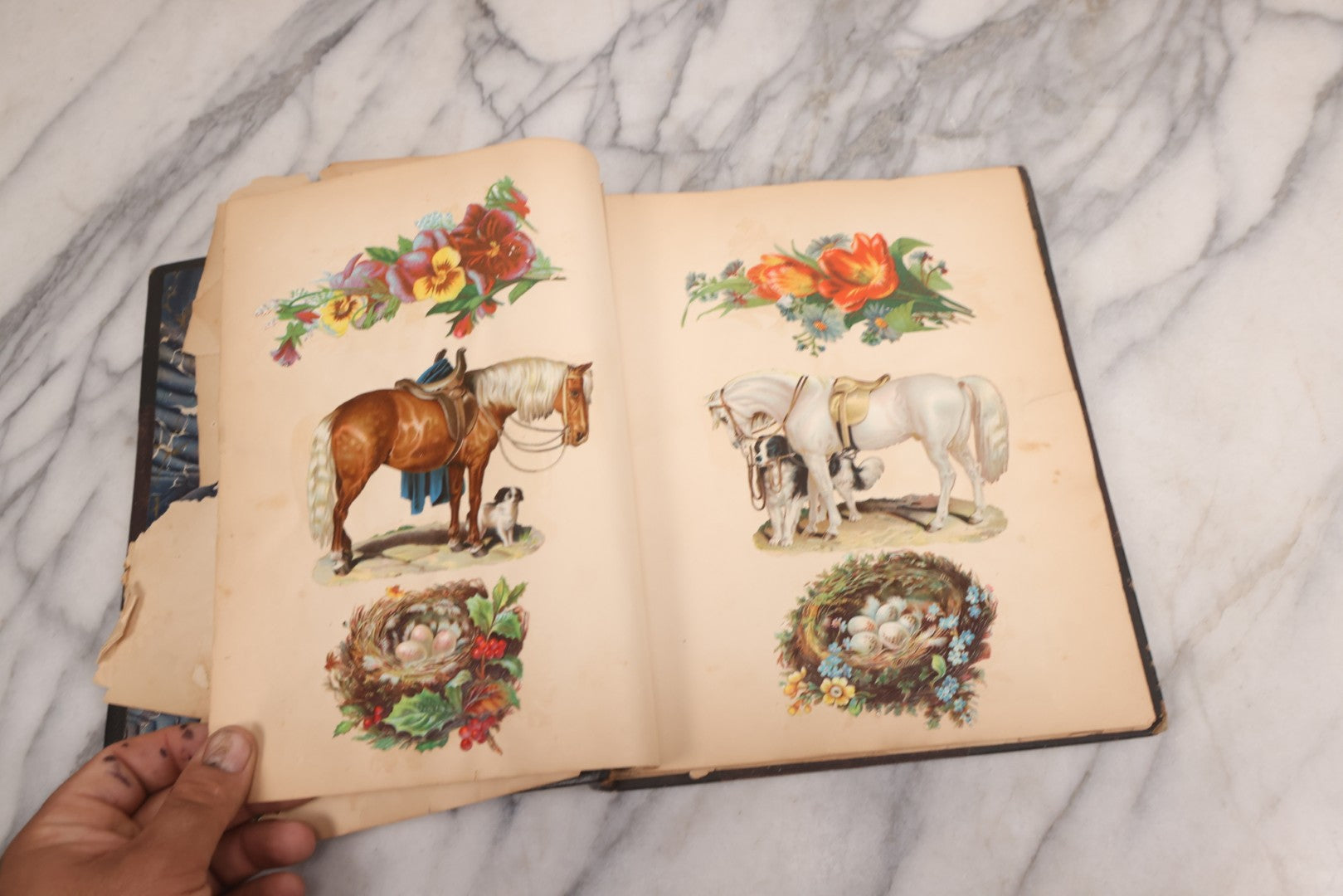 Lot 117 - Antique Victorian Scrapbook "Card Album" Containing 50+ Pieces Including Trade Cards, Die Cuts, Calling Cards, And Other Scraps