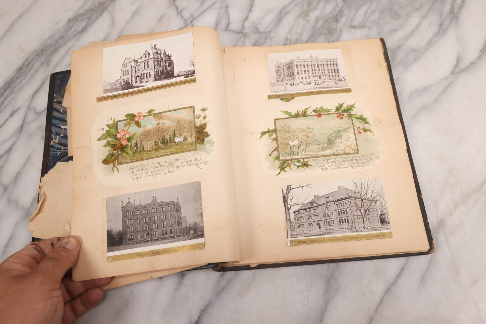 Lot 117 - Antique Victorian Scrapbook "Card Album" Containing 50+ Pieces Including Trade Cards, Die Cuts, Calling Cards, And Other Scraps