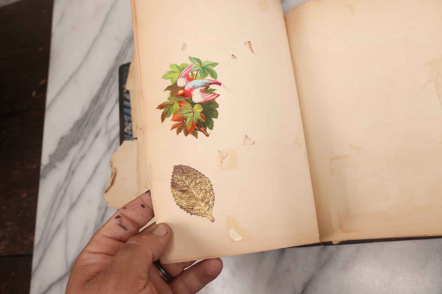 Lot 117 - Antique Victorian Scrapbook "Card Album" Containing 50+ Pieces Including Trade Cards, Die Cuts, Calling Cards, And Other Scraps