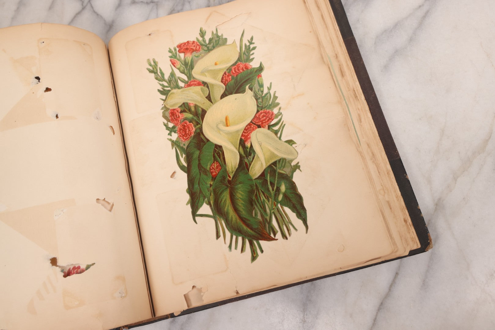 Lot 117 - Antique Victorian Scrapbook "Card Album" Containing 50+ Pieces Including Trade Cards, Die Cuts, Calling Cards, And Other Scraps