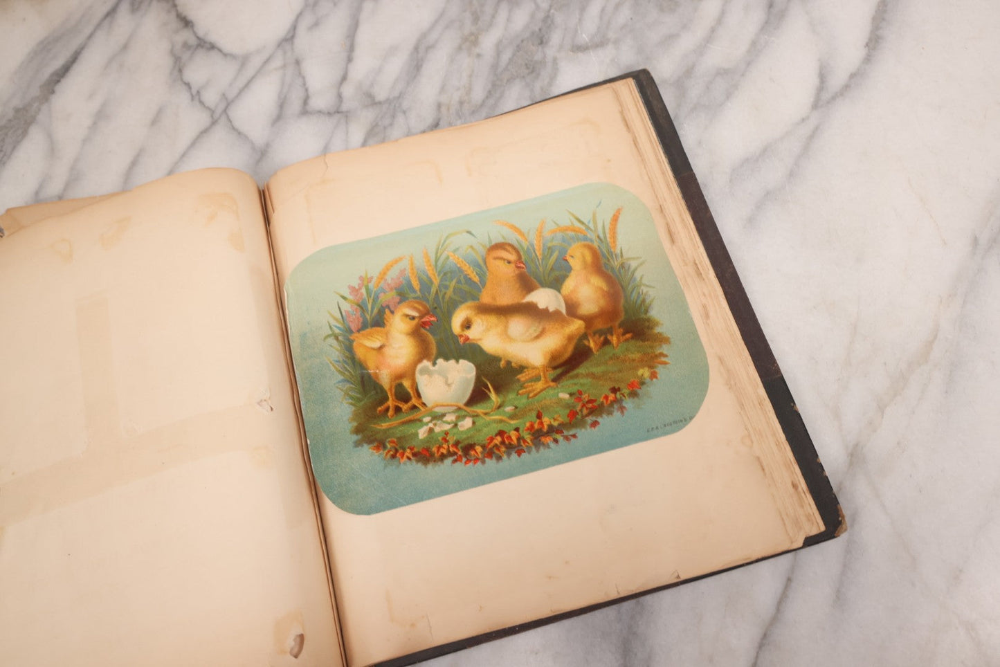 Lot 117 - Antique Victorian Scrapbook "Card Album" Containing 50+ Pieces Including Trade Cards, Die Cuts, Calling Cards, And Other Scraps