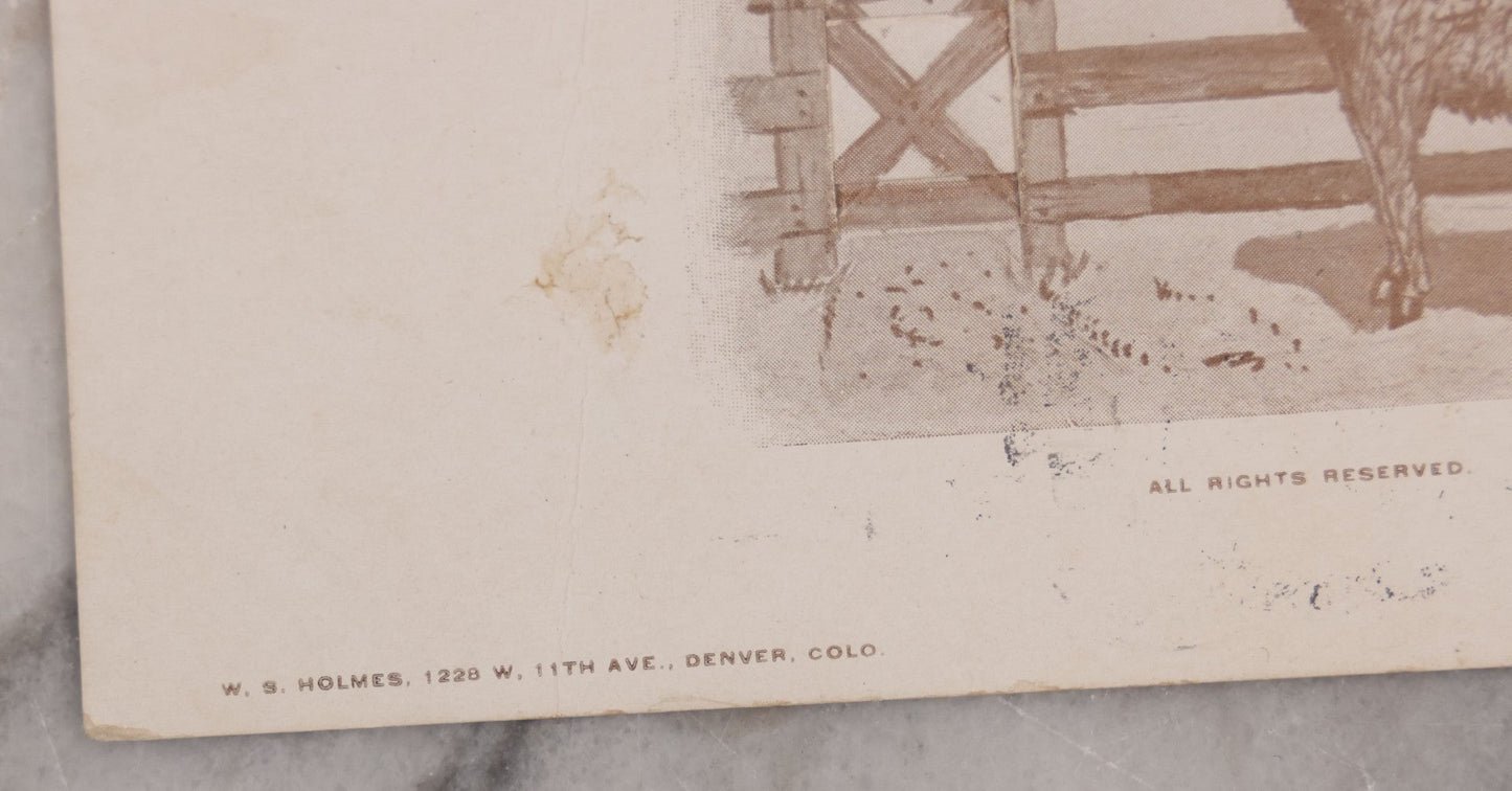 Lot 123 - Single Antique Mechanical Paper Postcard, Donkey, "I'll Talk If You Pull My Tail," Pulling Tail Reveals Message, "Hello My Long Lost Brother," W.S. Holmes, Publisher, Denver, Colorado, Signed Fred, 1907, Postmarked