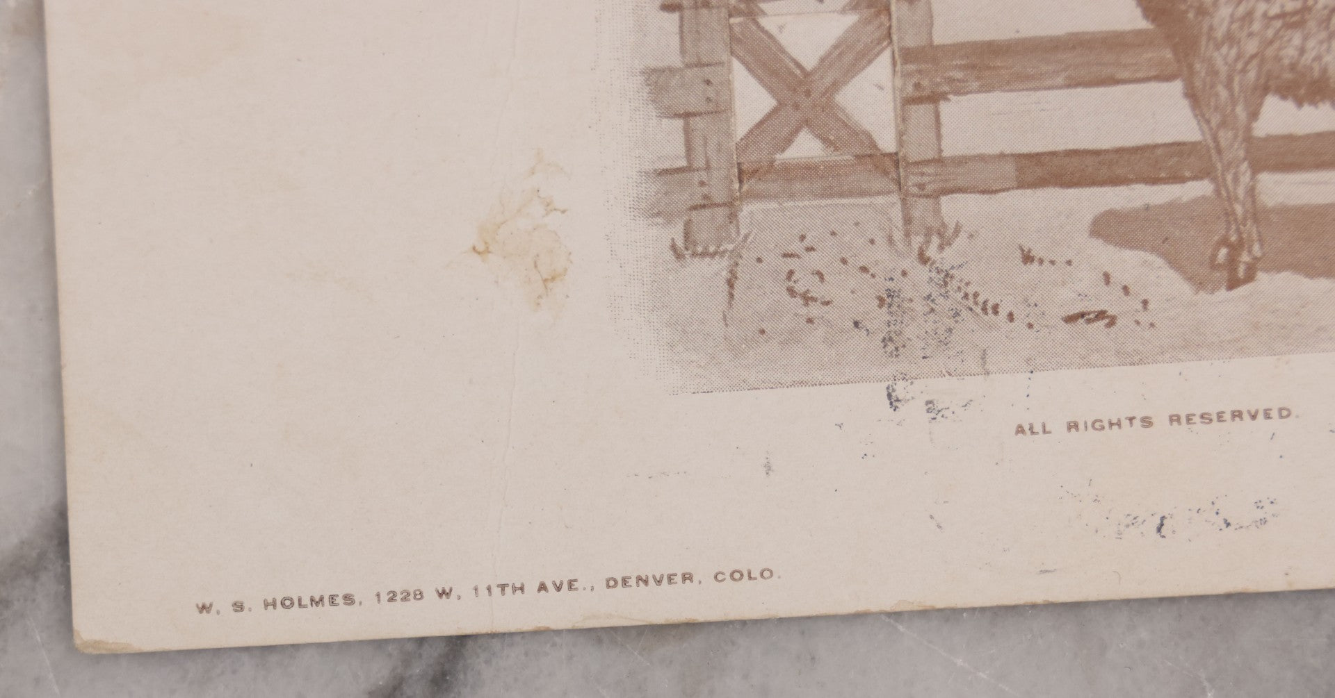 Lot 123 - Single Antique Mechanical Paper Postcard, Donkey, "I'll Talk If You Pull My Tail," Pulling Tail Reveals Message, "Hello My Long Lost Brother," W.S. Holmes, Publisher, Denver, Colorado, Signed Fred, 1907, Postmarked