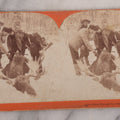 Lot 143 - Single Antique Stereoview 3D Photo Card With Hunters And Killed Moose, Keystone View Company No. 9451 Titled "Glory Enough For One Day,"  Copyright 1899 By B.L. Singley, Meadville, Pennsylvania, And St. Louis, Missouri