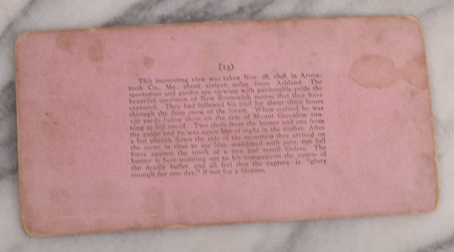 Lot 143 - Single Antique Stereoview 3D Photo Card With Hunters And Killed Moose, Keystone View Company No. 9451 Titled "Glory Enough For One Day,"  Copyright 1899 By B.L. Singley, Meadville, Pennsylvania, And St. Louis, Missouri