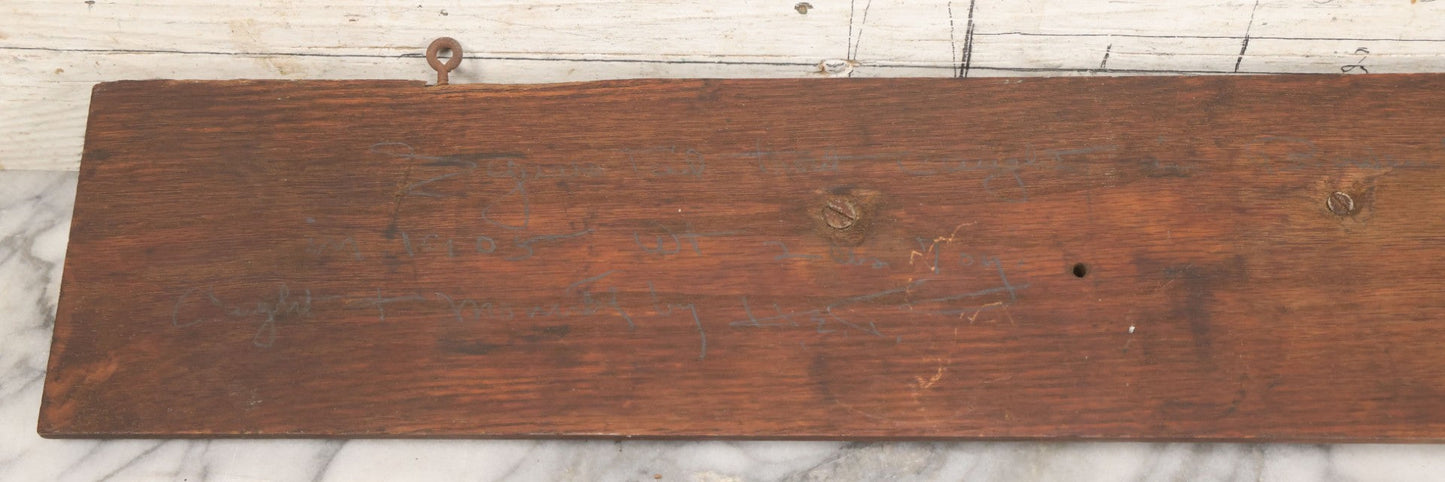 Lot 036 - Antique Fish Trout Full Taxidermy Mount On Wood Panel, Caught In Bowles Pond, Bellevue, New Hampshire, 1901, Note Poor Condition