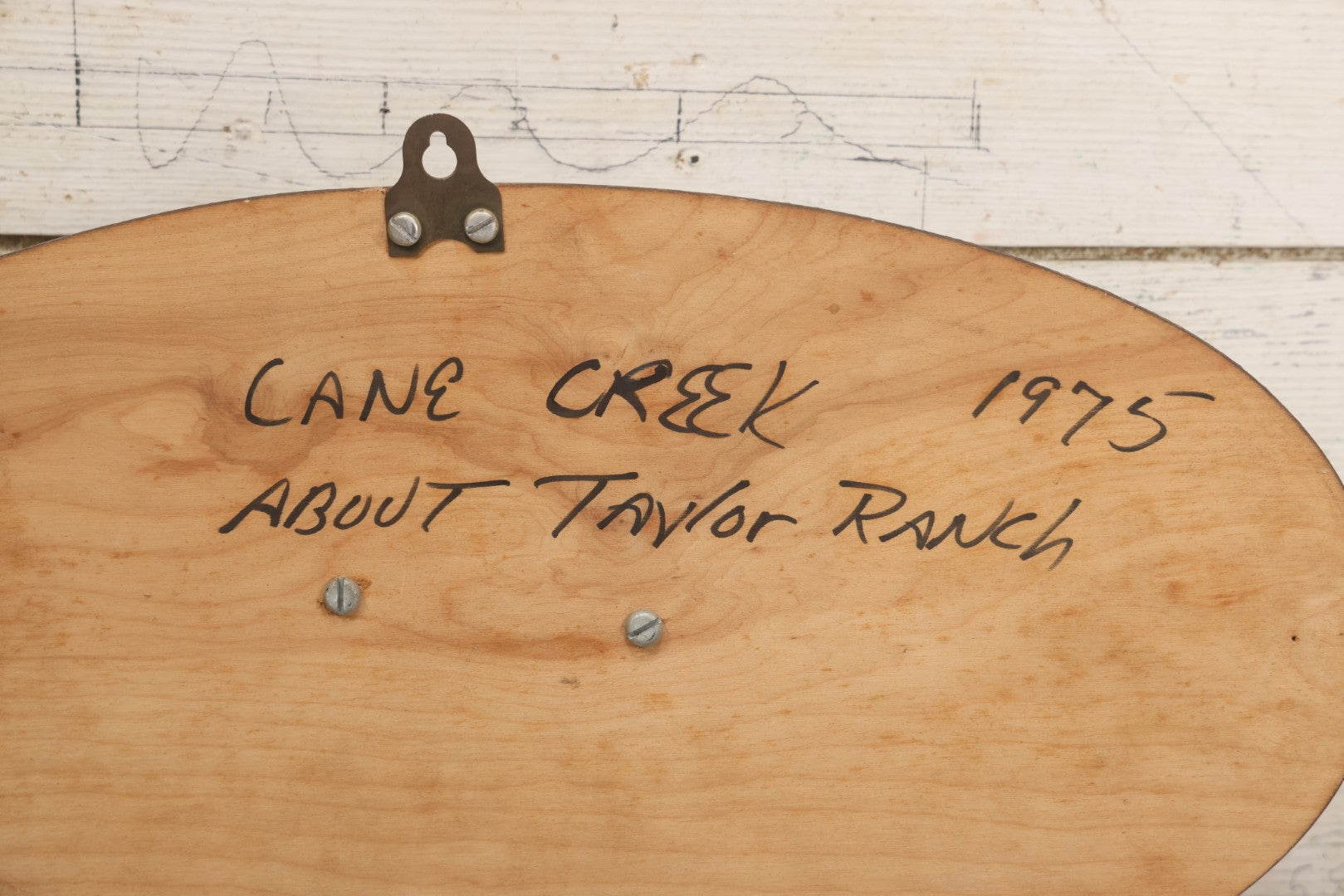 Lot 037 - Vintage Fish Trout Taxidermy Mount On Oval Wood Shield, Caught In Cane Creek, About Taylor Ranch, Buncombe County, North Carolina, 1975, Note Wear And Tear