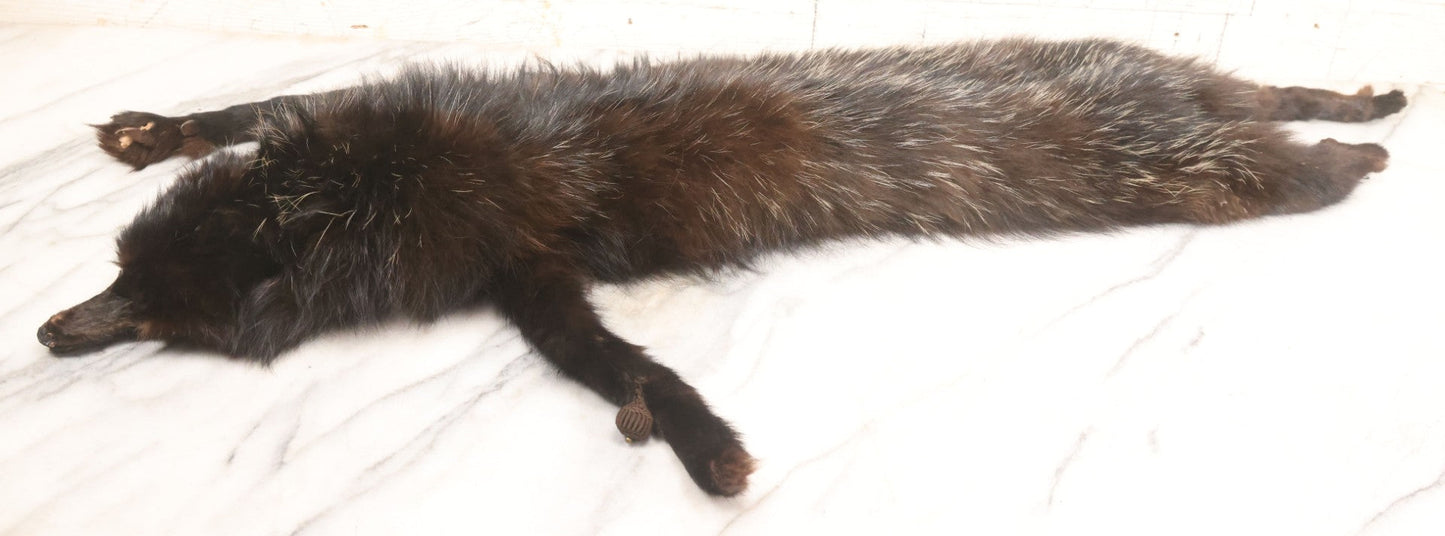 Lot 038 - Vintage Real Fur Fox Scarf, Manufactured By Frank L. Singer Furs, Peekskill, New York, Note Wear And Tear