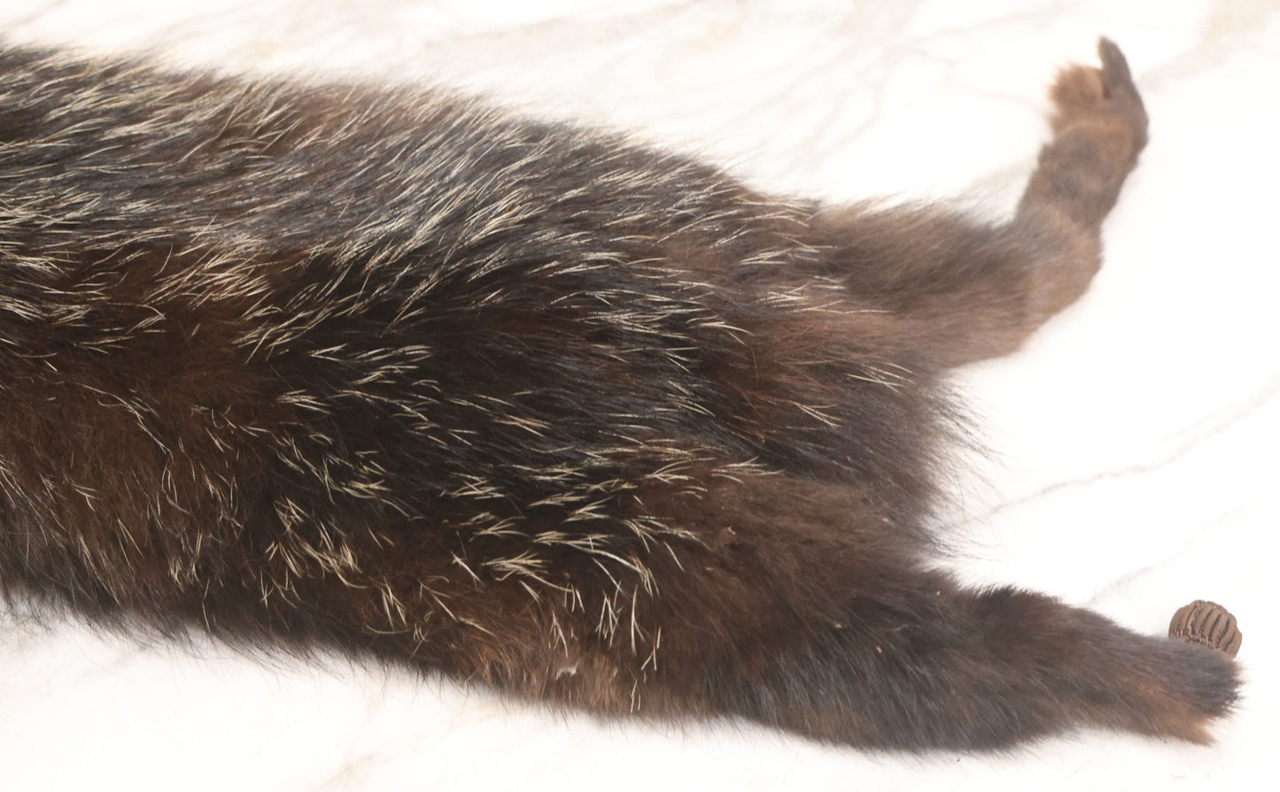 Lot 038 - Vintage Real Fur Fox Scarf, Manufactured By Frank L. Singer Furs, Peekskill, New York, Note Wear And Tear