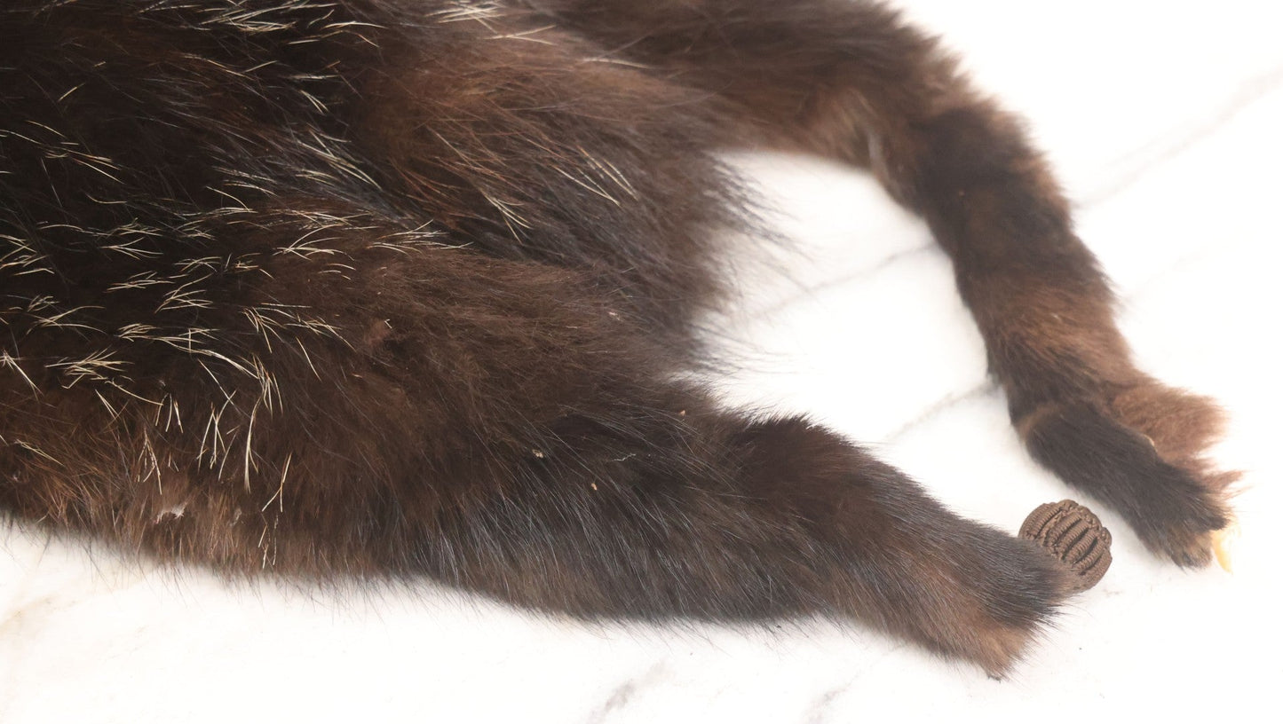 Lot 038 - Vintage Real Fur Fox Scarf, Manufactured By Frank L. Singer Furs, Peekskill, New York, Note Wear And Tear