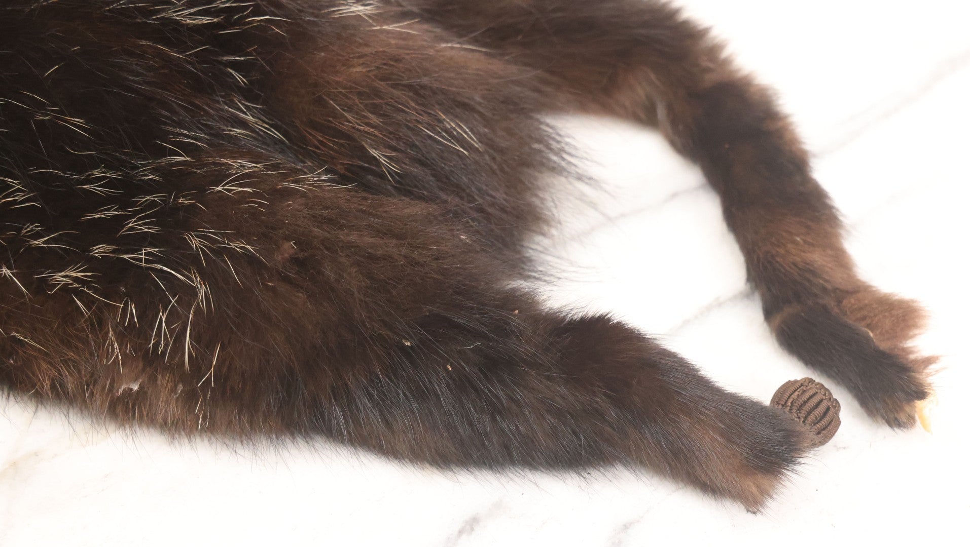 Lot 038 - Vintage Real Fur Fox Scarf, Manufactured By Frank L. Singer Furs, Peekskill, New York, Note Wear And Tear