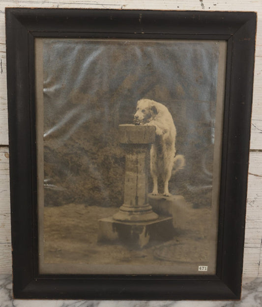 Lot 089 - Antique Photo Clipping Of Dog Drinking From Fountain, In Frame