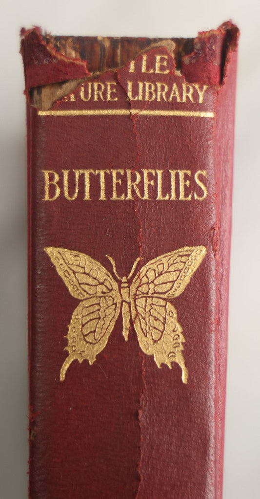 Lot 167 - "Butterflies Worth Knowing" Vintage Nature Book By Clarence M. Weed, Illustrated With Thirty-Two Plates Including Sixteen In Color, Red Cloth Spine With Gilt Butterfly Motif, Little Nature Library, Doubleday, Page & Company, Publishers, 1922
