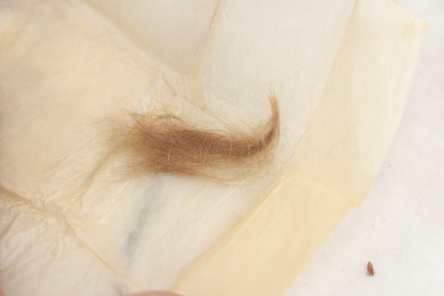 Lot 210 - Antique "Proof Of Life" Lot Of The Pinkham Family Containing Human Hair Keepsakes, Various Ephemera, Notes, In Ruth Hawthorne Candies Box