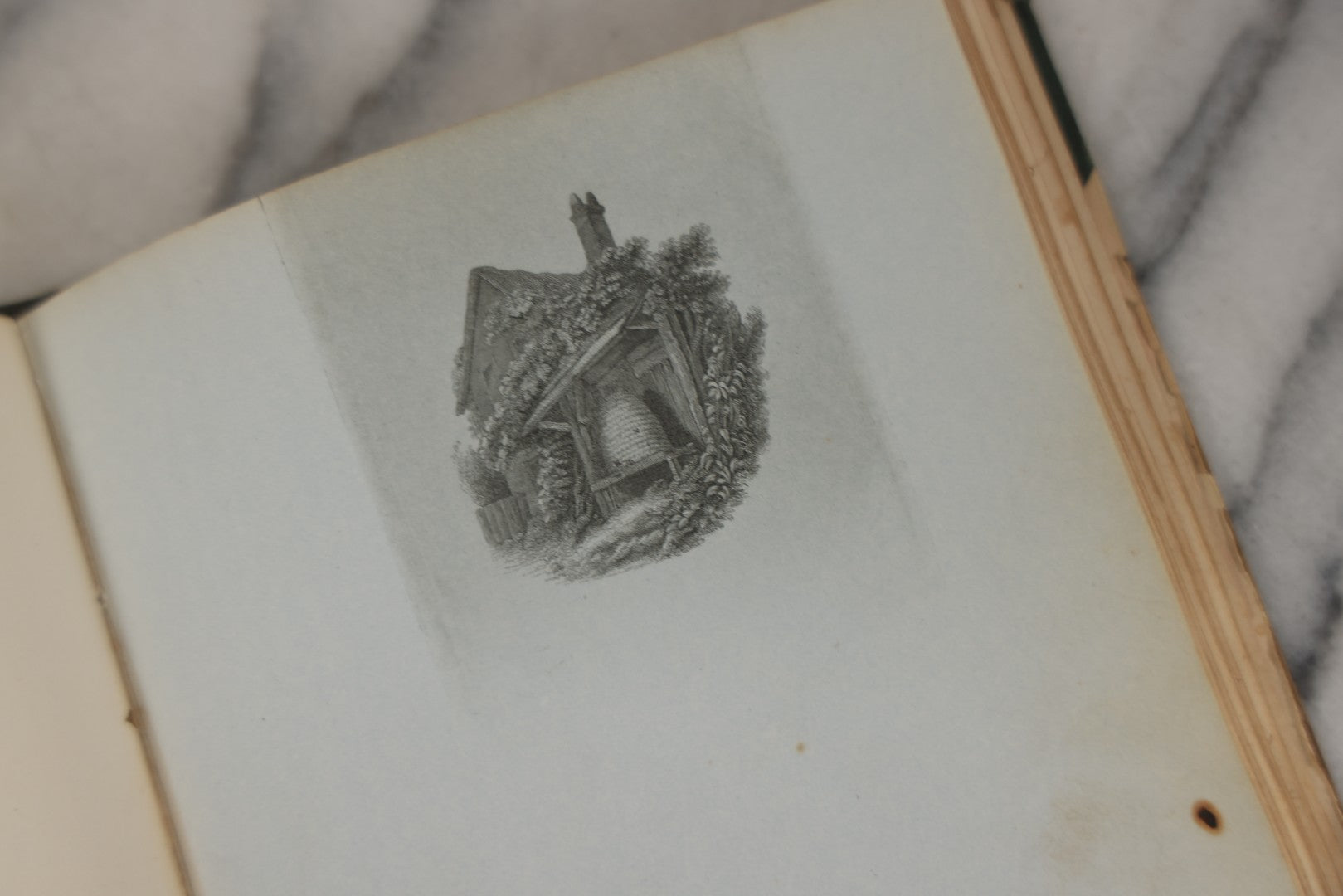 Lot 215 - Early Antique Autograph Album With Dozens Of Poems, Signatures, And More, With Engravings Throughout, 1830s