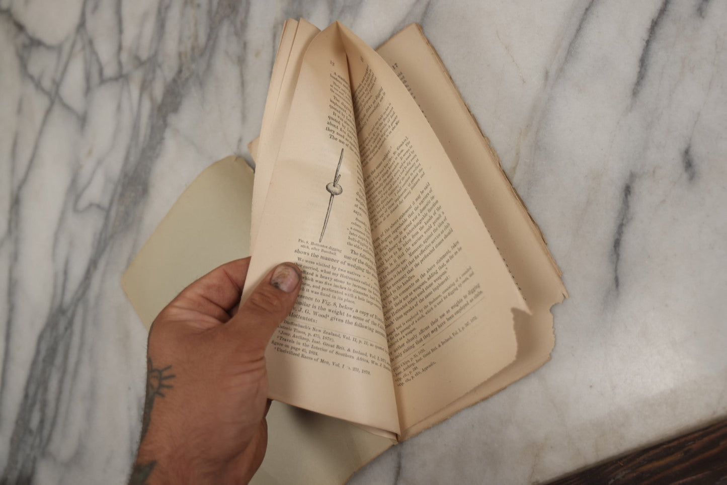 Lot 231 - Antique Ephemera Booklet, "Perforated Stone From California" By Henry W. Henshaw, Smithsonian Institution, Government Printing Office, Washington, D.C., 1887