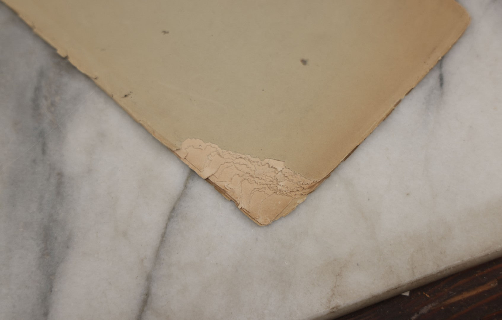 Lot 231 - Antique Ephemera Booklet, "Perforated Stone From California" By Henry W. Henshaw, Smithsonian Institution, Government Printing Office, Washington, D.C., 1887