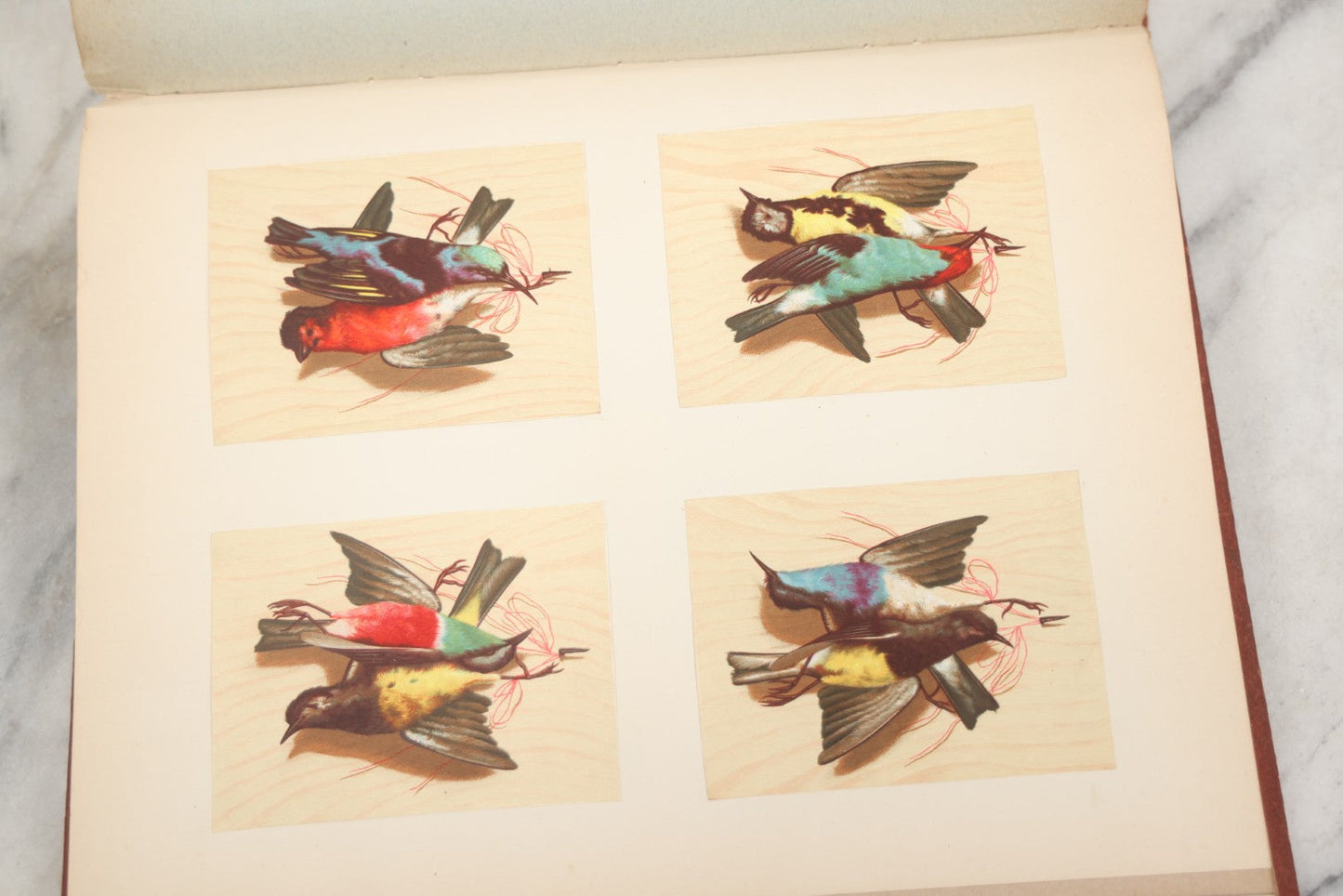 Lot 238 - Antique Victorian Scrapbook Containing Approximately Pieces, Mostly Bold Chromolithographs Of Beautiful Women, Nicely Organized