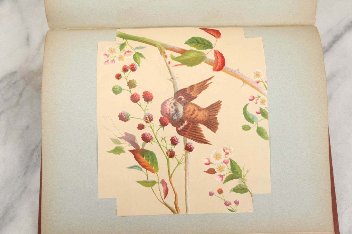 Lot 238 - Antique Victorian Scrapbook Containing Approximately Pieces, Mostly Bold Chromolithographs Of Beautiful Women, Nicely Organized