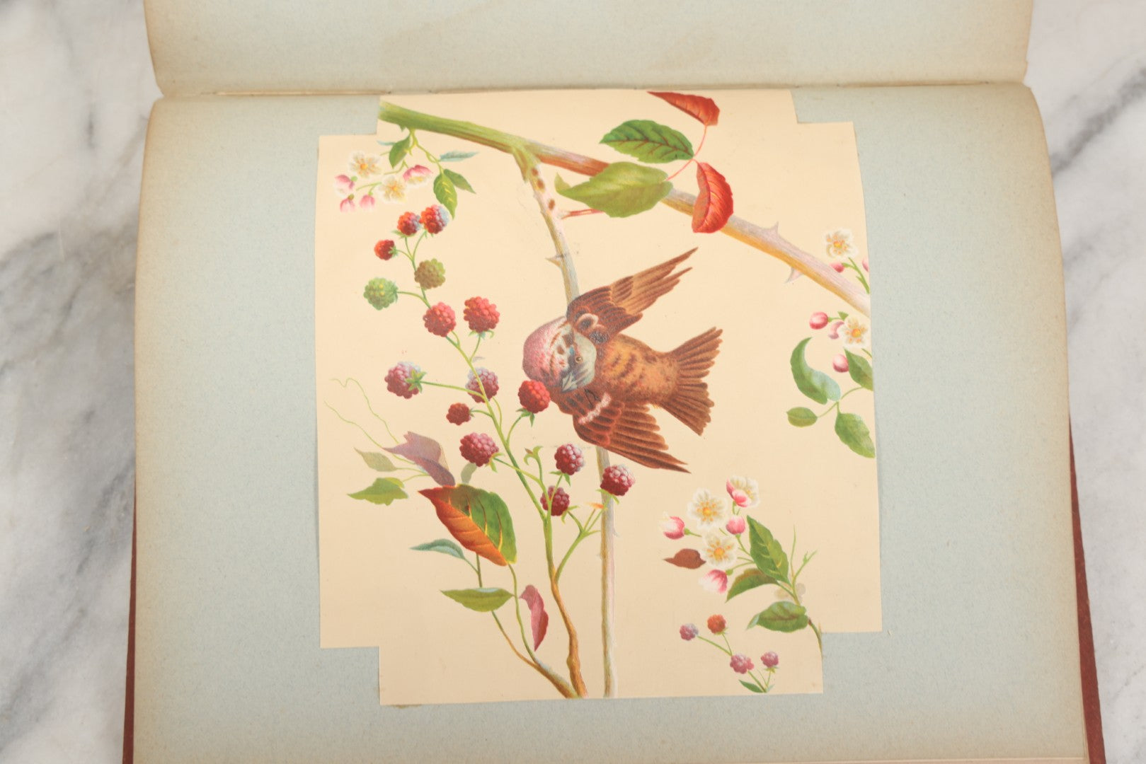 Lot 238 - Antique Victorian Scrapbook Containing Approximately Pieces, Mostly Bold Chromolithographs Of Beautiful Women, Nicely Organized