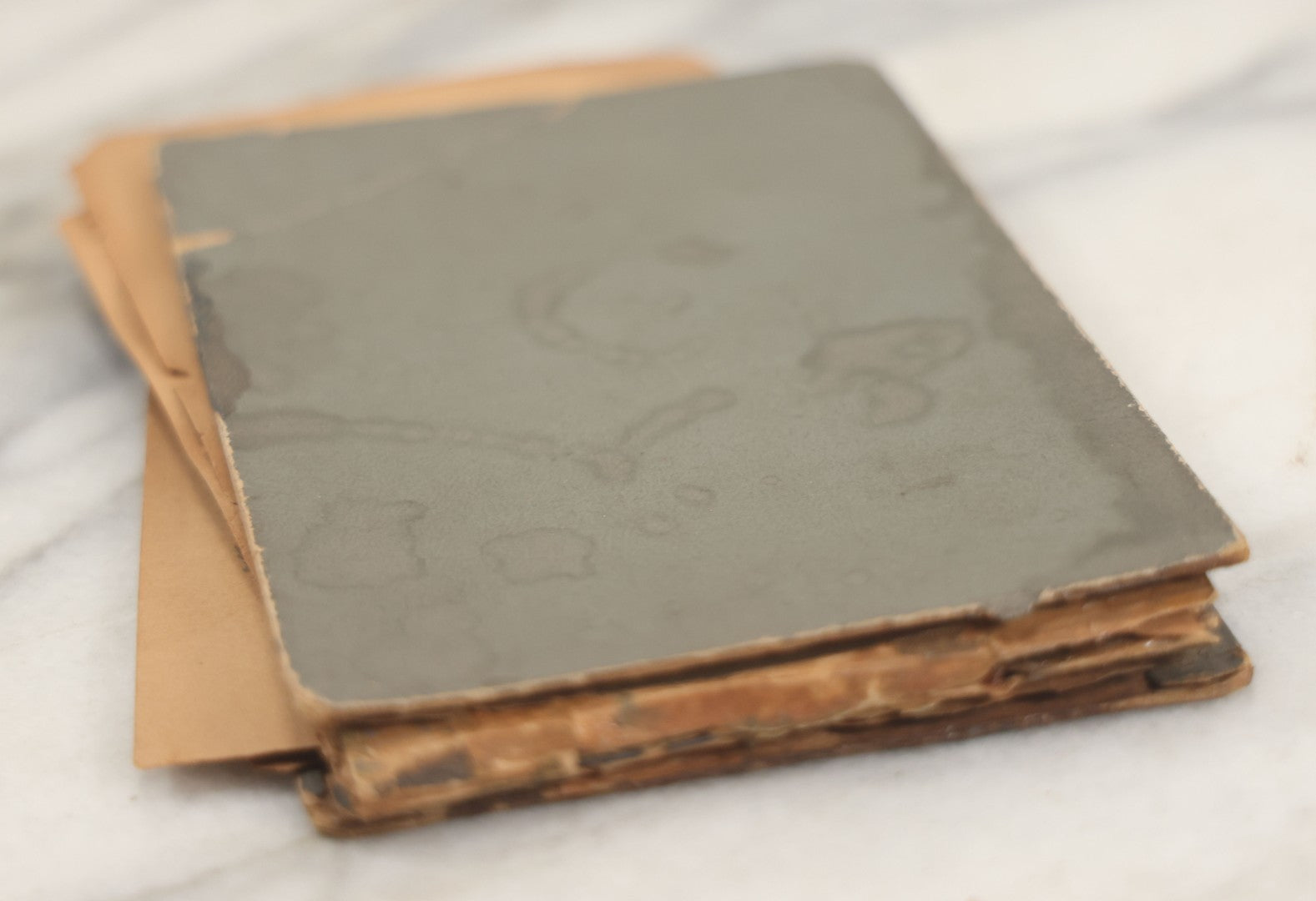 Lot 241 - Antique Snapshot And Cyanotype Photo Album Contained In A Victorian Autograph Book, Containing Photos Of The Students Of West Newbury High School, Massachusetts, Including Creative Group Shots, Beach Scenes, Playful Friends, And More