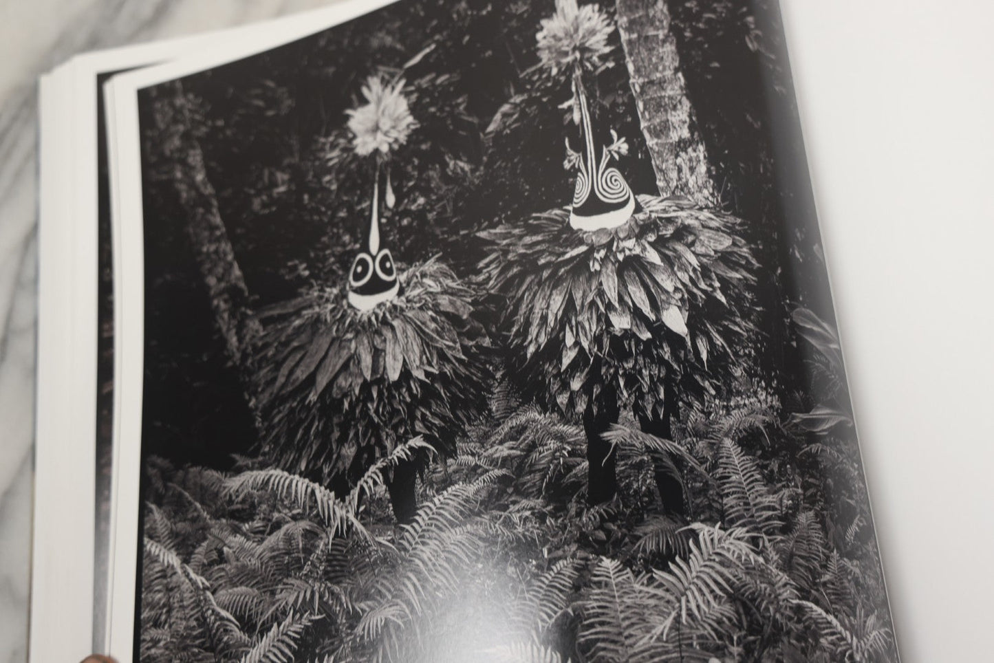 Lot 281 - "Mask" Modern Photography Book By Chris Rainier With Ethnographic Notes By Robert Welsch, Earth Aware Editions, Publishers, California, 2019