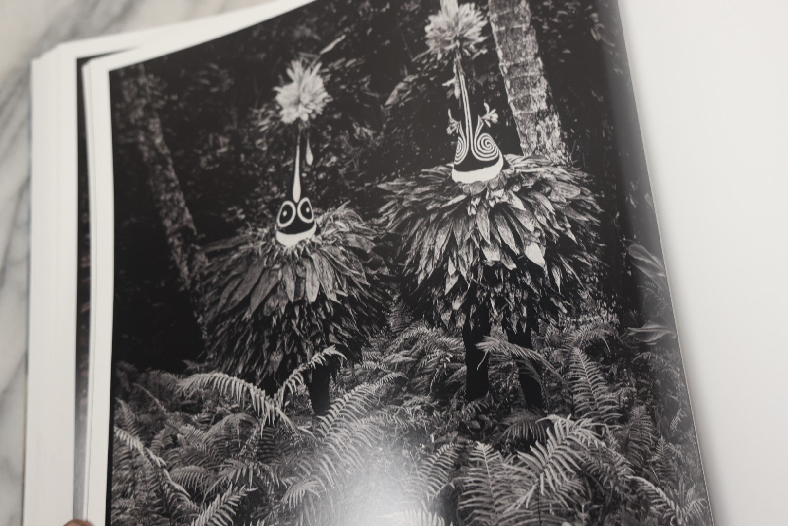 Lot 281 - "Mask" Modern Photography Book By Chris Rainier With Ethnographic Notes By Robert Welsch, Earth Aware Editions, Publishers, California, 2019