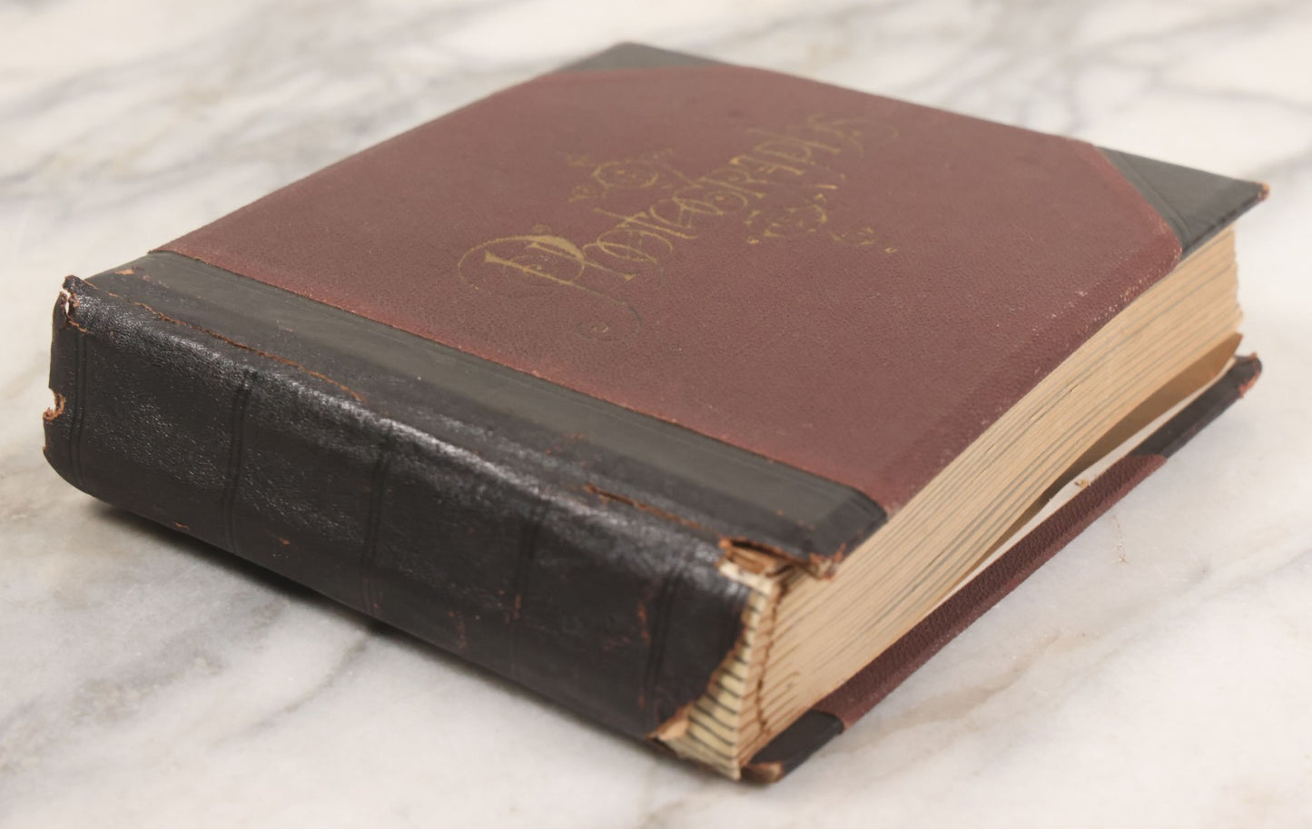 Lot 001 - Important Late 19th Century Photo Album Containing 44 Original Photographs Including Pre-Dreadnought Battleships From On Board & Shore, Washington D.C. From Atop The Washington Monument, Capitol Building, African American Men & Women, And More