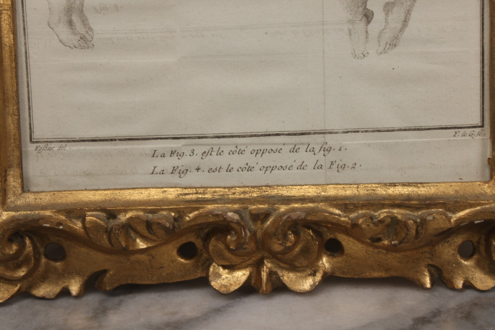 Lot 015 - Antique Anatomical Engraving Of Conjoined Twins, From Mémoires De L'Académie Royale Des Sciences, Paris, 1776, After Drawings By Fossier (Del.) And Engraved By Y. Le G. (Sc.), French Medical Illustration, Framed, 9-5/8" x 11-5/8"