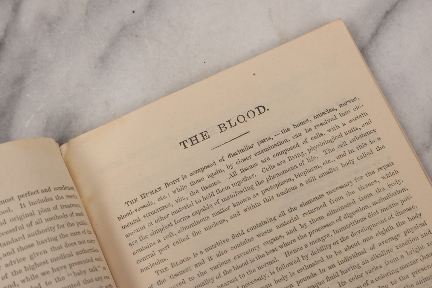 Lot 048 - "Diseases Of The Skin And Blood And How To Cure Them" Antique Illustrated Medical Booklet Prepared And Published By Potter Drug & Chemical Company, Boston, Massachusetts, 1885, Fourth Edition, With 37 Engravings "Drawn From Life"