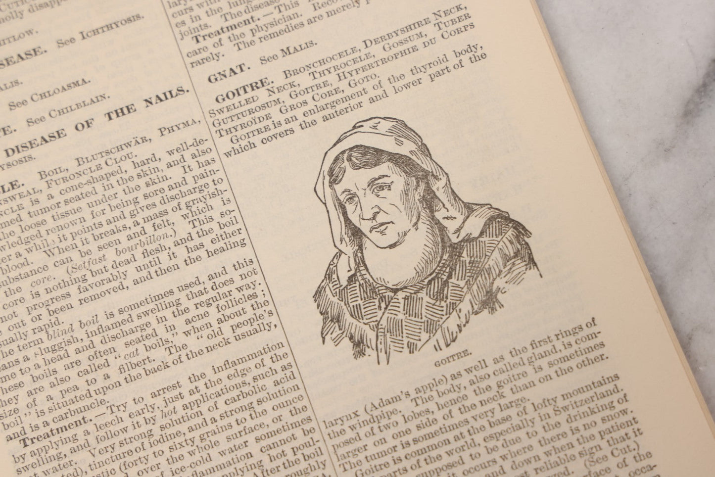 Lot 048 - "Diseases Of The Skin And Blood And How To Cure Them" Antique Illustrated Medical Booklet Prepared And Published By Potter Drug & Chemical Company, Boston, Massachusetts, 1885, Fourth Edition, With 37 Engravings "Drawn From Life"
