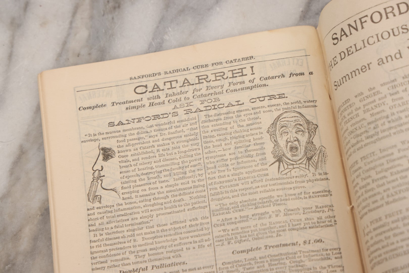 Lot 048 - "Diseases Of The Skin And Blood And How To Cure Them" Antique Illustrated Medical Booklet Prepared And Published By Potter Drug & Chemical Company, Boston, Massachusetts, 1885, Fourth Edition, With 37 Engravings "Drawn From Life"
