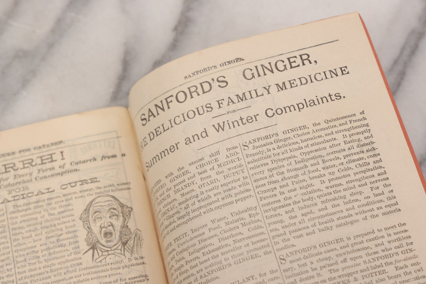 Lot 048 - "Diseases Of The Skin And Blood And How To Cure Them" Antique Illustrated Medical Booklet Prepared And Published By Potter Drug & Chemical Company, Boston, Massachusetts, 1885, Fourth Edition, With 37 Engravings "Drawn From Life"