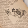 Lot 050 - "The Doctor At Home, Illustrated: Treating The Diseases Of Man And The Horse" Antique Illustrated Medical Booklet By Dr. B.J. Kendall Co., Enosburg Falls, Vermont, 1887