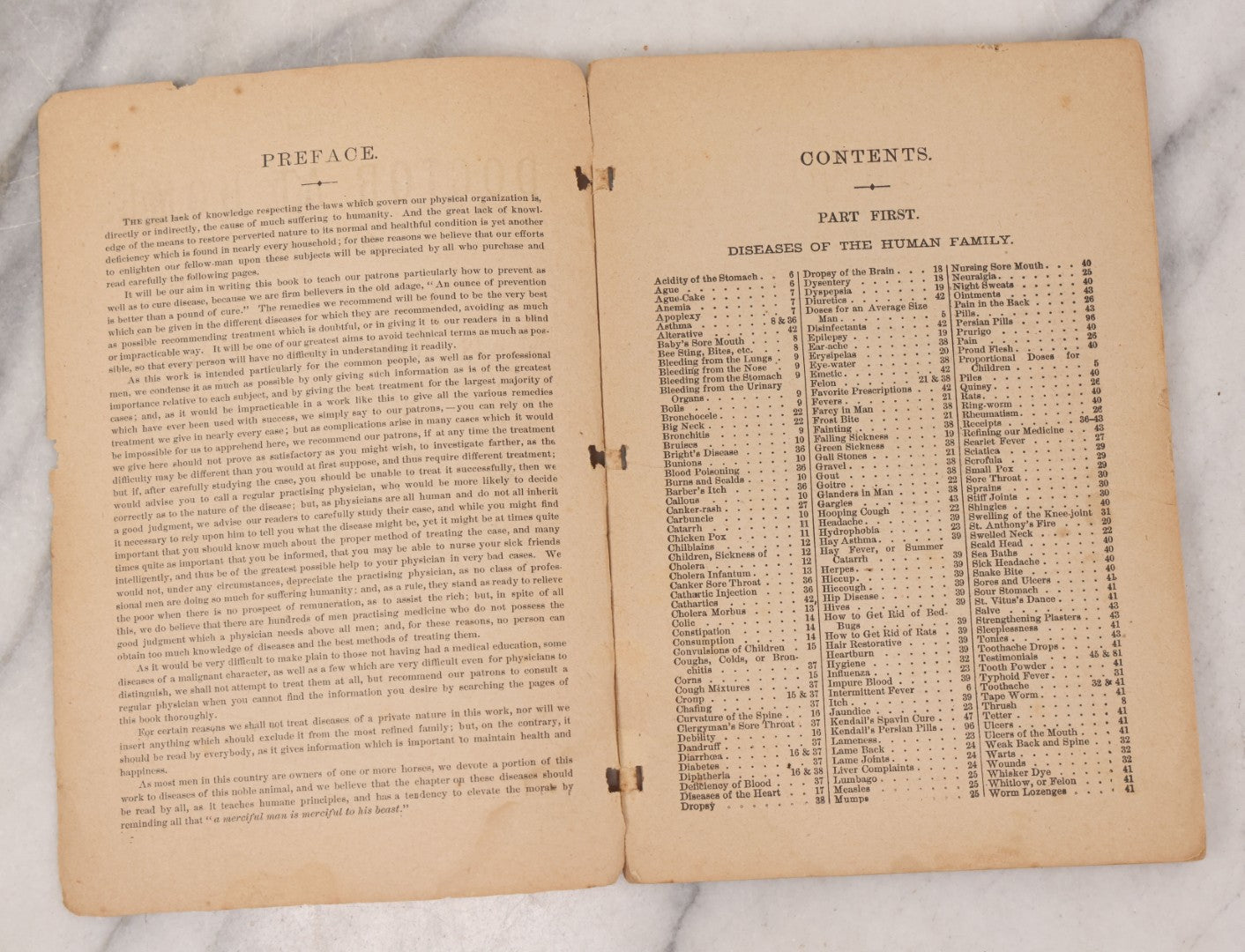Lot 050 - "The Doctor At Home, Illustrated: Treating The Diseases Of Man And The Horse" Antique Illustrated Medical Booklet By Dr. B.J. Kendall Co., Enosburg Falls, Vermont, 1887