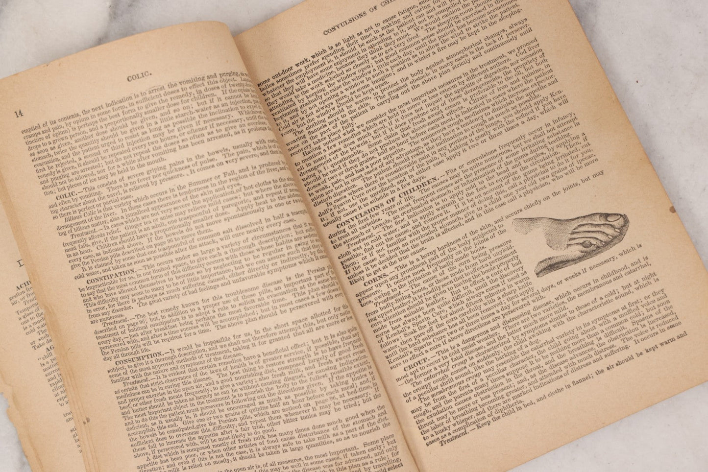 Lot 050 - "The Doctor At Home, Illustrated: Treating The Diseases Of Man And The Horse" Antique Illustrated Medical Booklet By Dr. B.J. Kendall Co., Enosburg Falls, Vermont, 1887