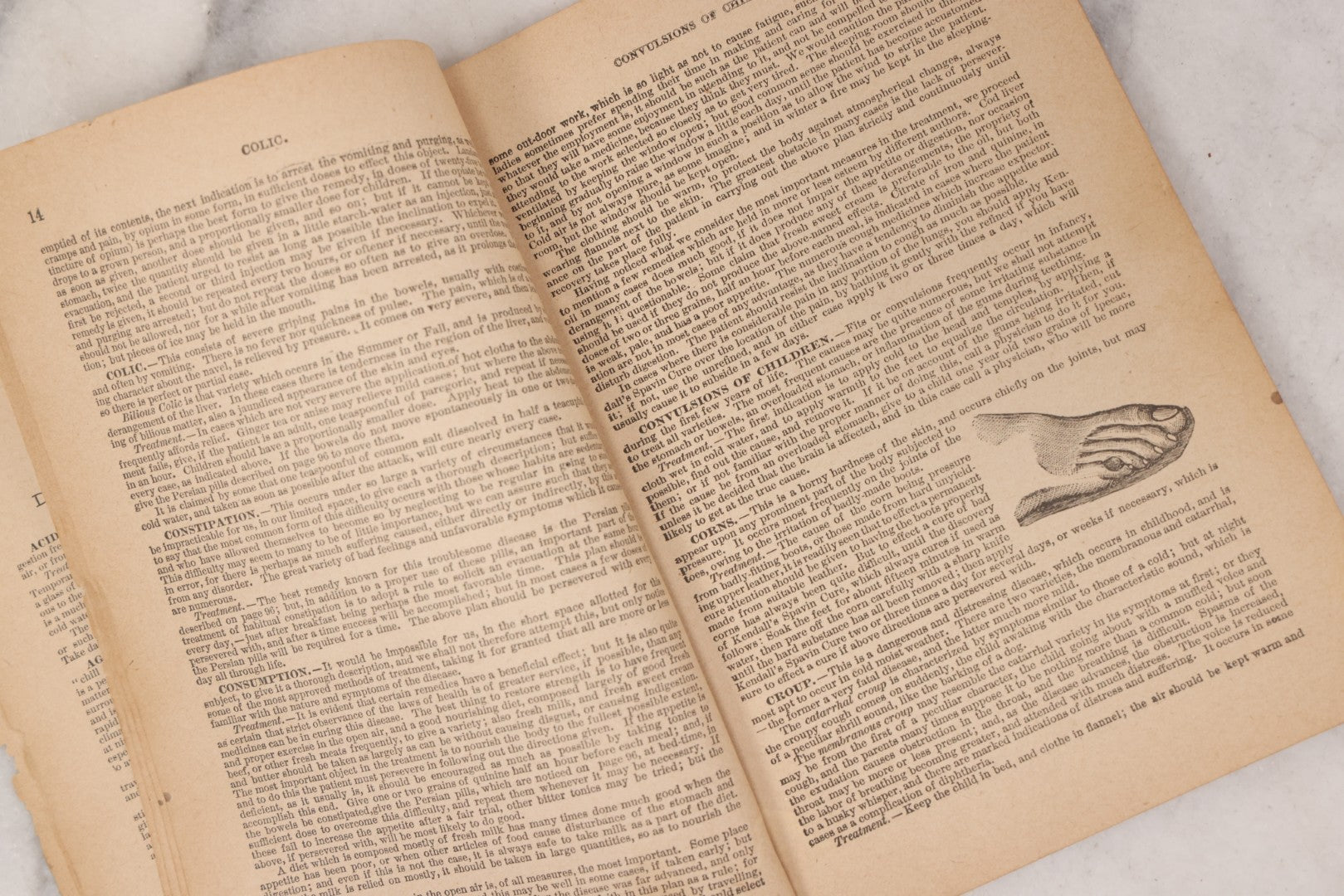 Lot 050 - "The Doctor At Home, Illustrated: Treating The Diseases Of Man And The Horse" Antique Illustrated Medical Booklet By Dr. B.J. Kendall Co., Enosburg Falls, Vermont, 1887