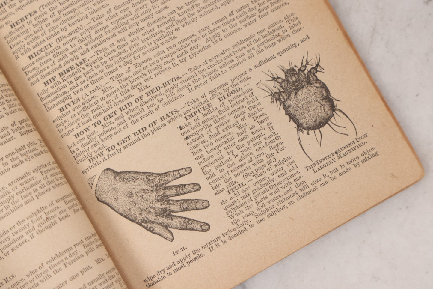 Lot 050 - "The Doctor At Home, Illustrated: Treating The Diseases Of Man And The Horse" Antique Illustrated Medical Booklet By Dr. B.J. Kendall Co., Enosburg Falls, Vermont, 1887