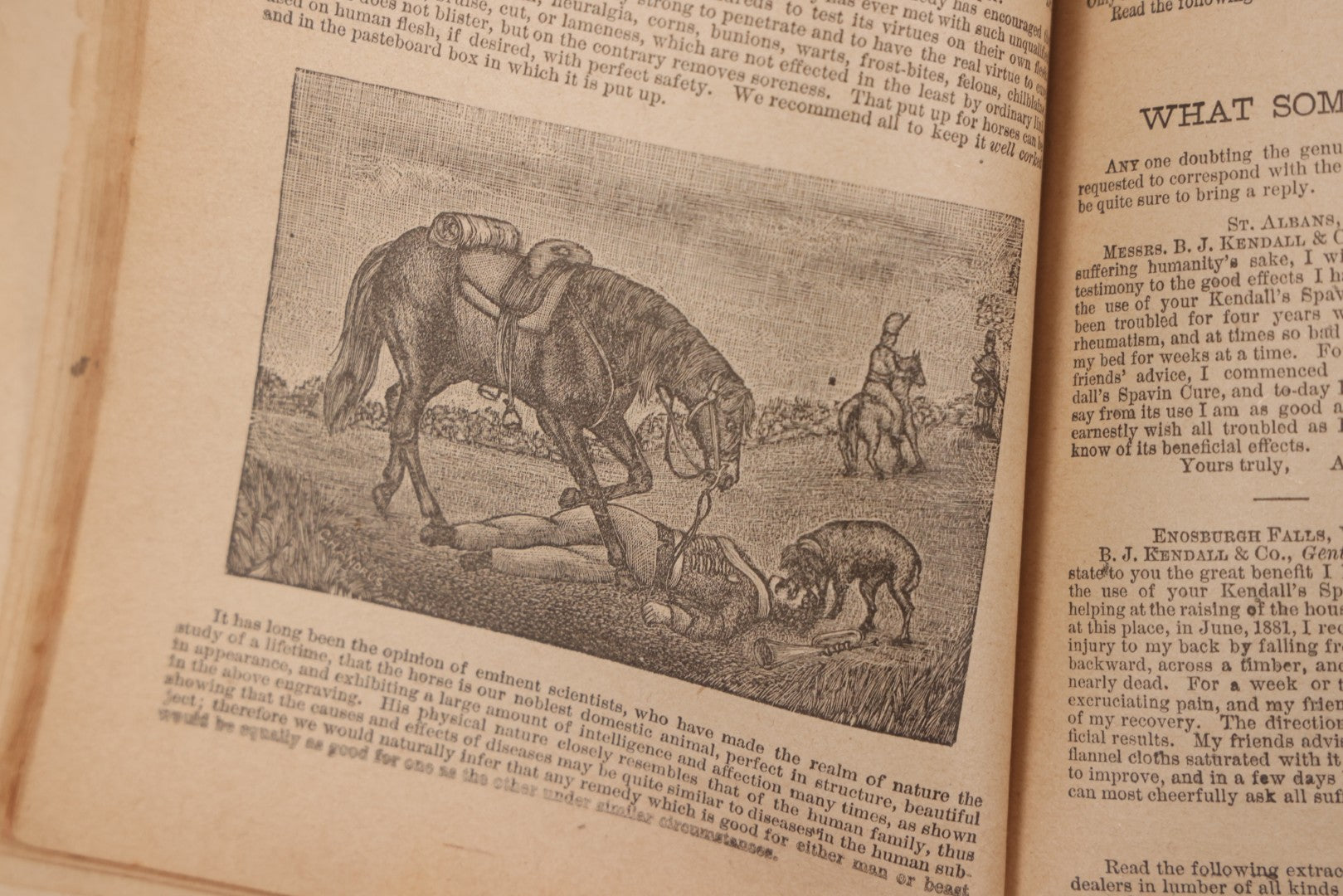 Lot 050 - "The Doctor At Home, Illustrated: Treating The Diseases Of Man And The Horse" Antique Illustrated Medical Booklet By Dr. B.J. Kendall Co., Enosburg Falls, Vermont, 1887