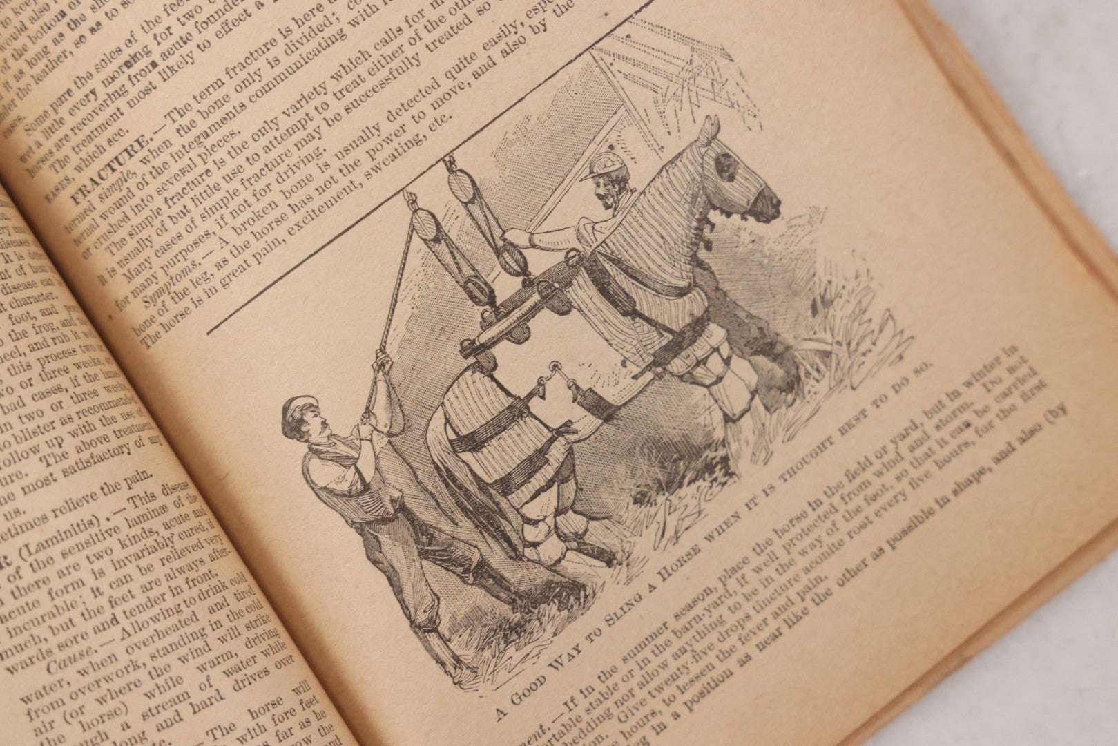 Lot 050 - "The Doctor At Home, Illustrated: Treating The Diseases Of Man And The Horse" Antique Illustrated Medical Booklet By Dr. B.J. Kendall Co., Enosburg Falls, Vermont, 1887