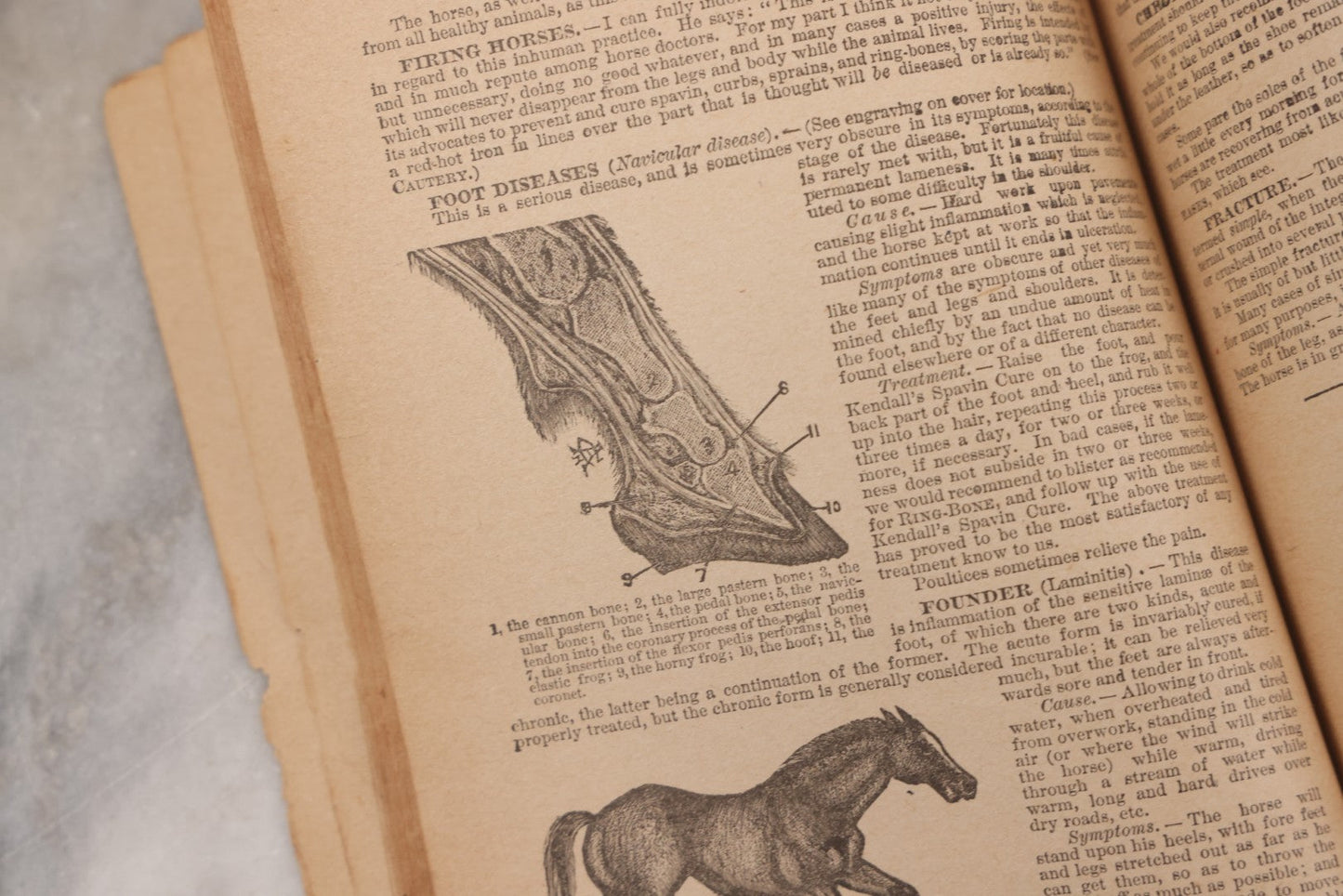 Lot 050 - "The Doctor At Home, Illustrated: Treating The Diseases Of Man And The Horse" Antique Illustrated Medical Booklet By Dr. B.J. Kendall Co., Enosburg Falls, Vermont, 1887