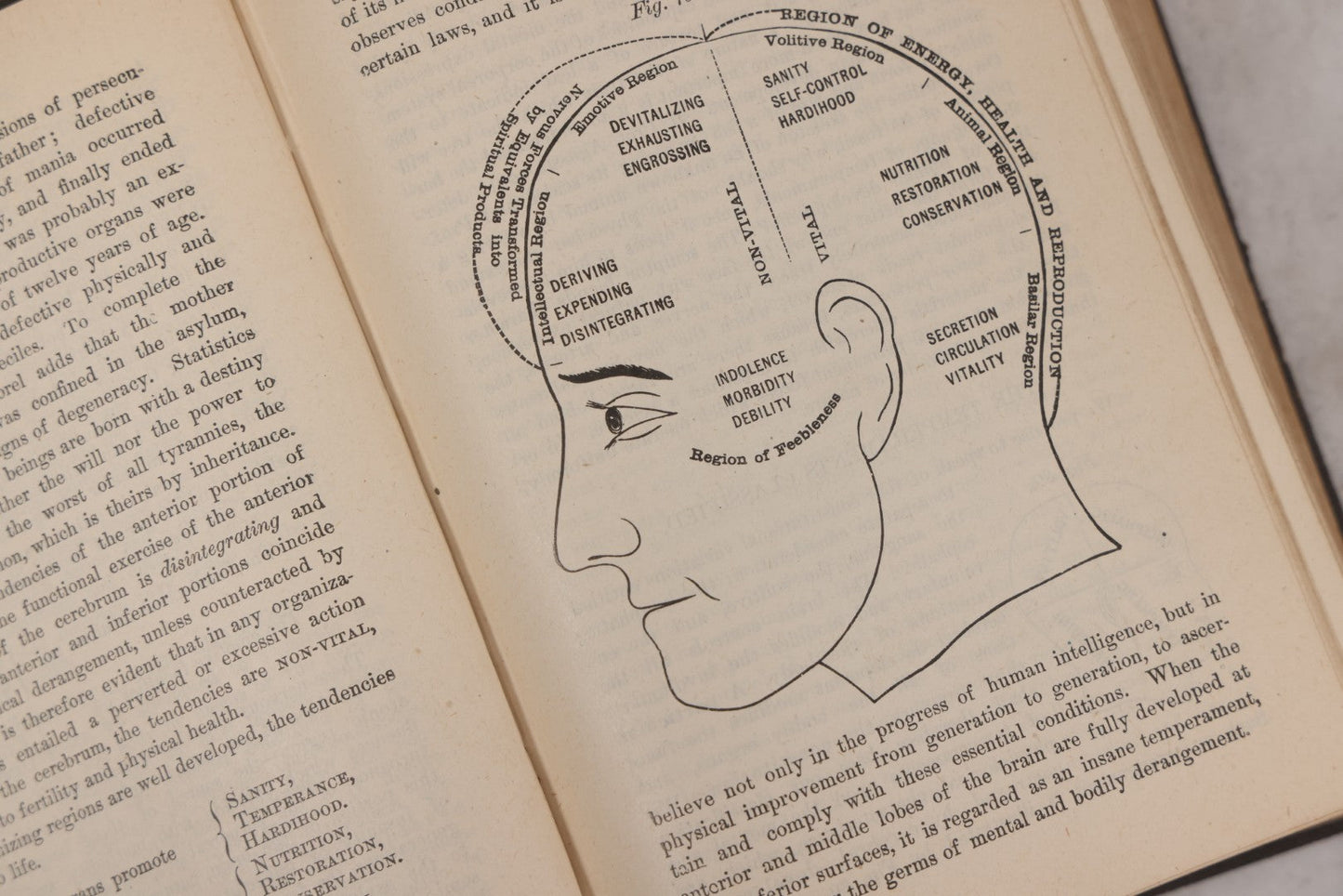 Lot 051 - "The People's Common Sense Medical Adviser In Plain English, Or, Medicine Simplified" Antique Illustrated Medical Book By R.V. Pierce, M.D., Seventy-First Edition, Buffalo, New York, 1895
