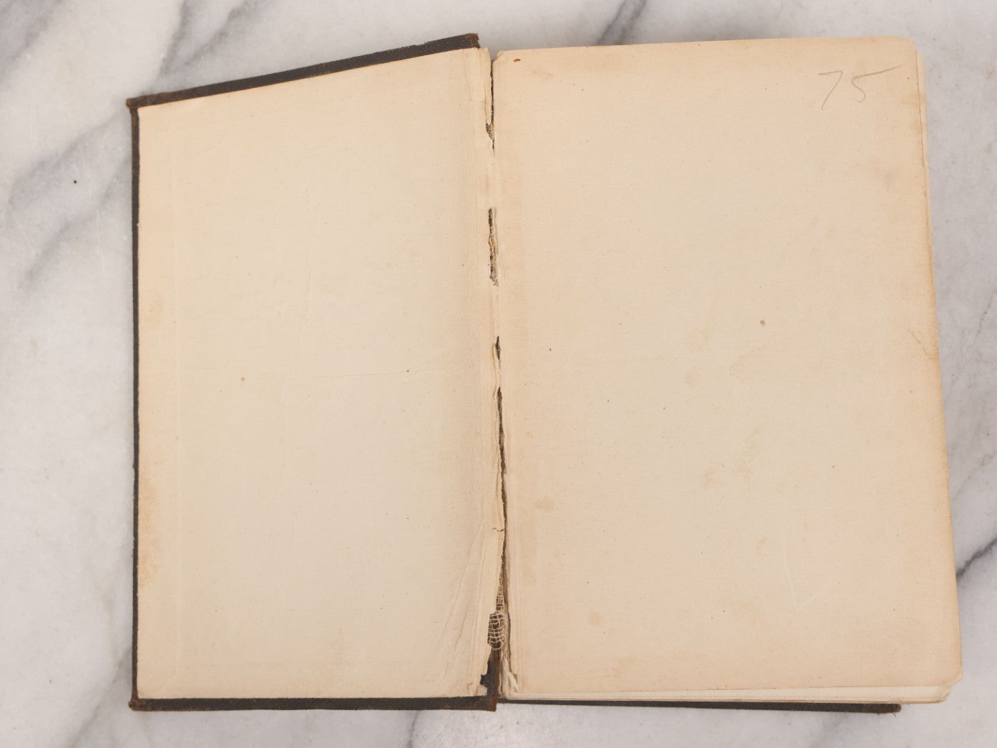 Lot 051 - "The People's Common Sense Medical Adviser In Plain English, Or, Medicine Simplified" Antique Illustrated Medical Book By R.V. Pierce, M.D., Seventy-First Edition, Buffalo, New York, 1895