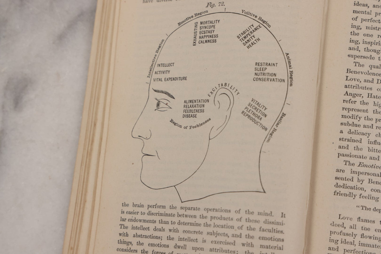 Lot 051 - "The People's Common Sense Medical Adviser In Plain English, Or, Medicine Simplified" Antique Illustrated Medical Book By R.V. Pierce, M.D., Seventy-First Edition, Buffalo, New York, 1895